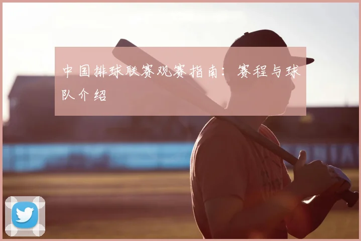 中国排球联赛观赛指南：赛程与球队介绍