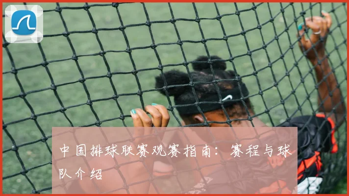 中国排球联赛观赛指南：赛程与球队介绍